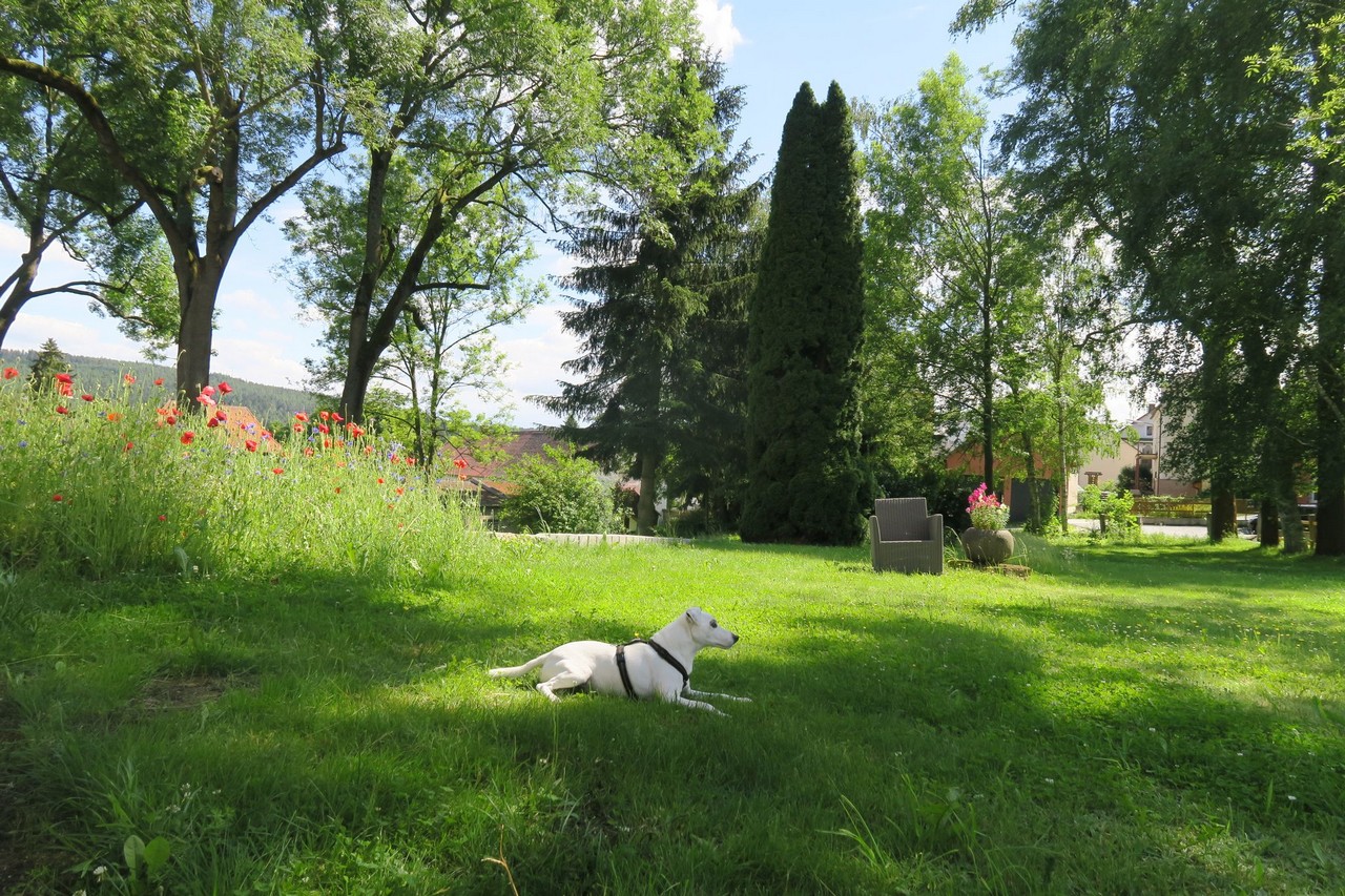 Ferienwohnung Gutsgarten Schlottenhof