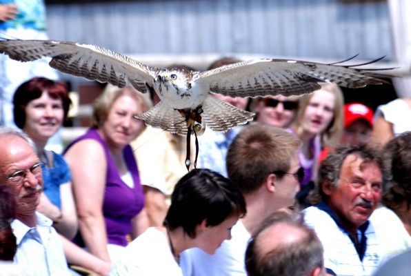 Parc rapace &agrave; Katharinenberg / Wunsiedel